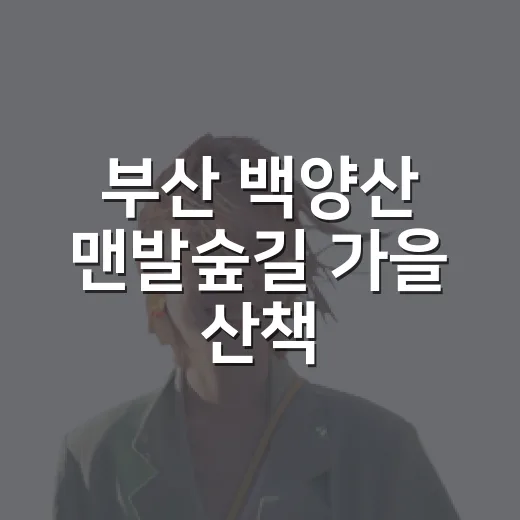 부산 백양산 맨발숲길 가을 산책