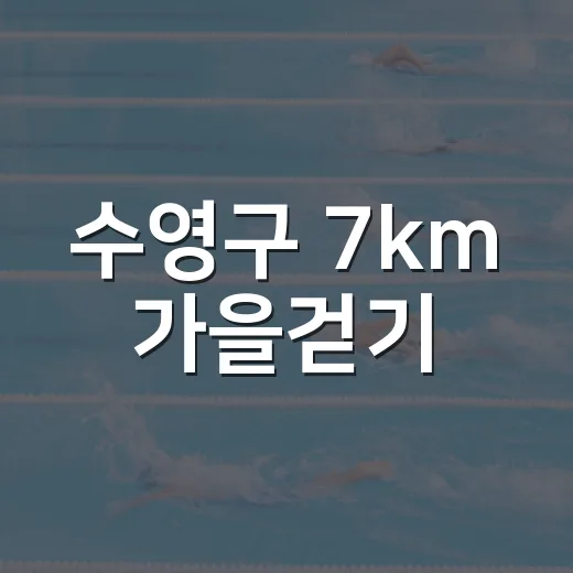 수영구 7km 가을걷기