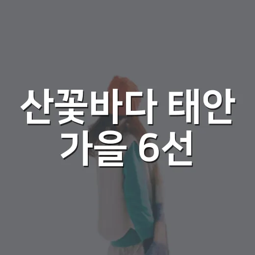 산꽃바다 태안 가을 6선