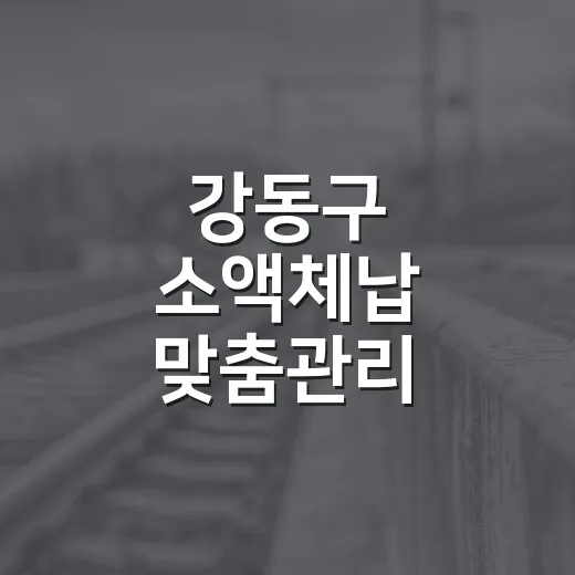 강동구 소액체납 맞춤관리