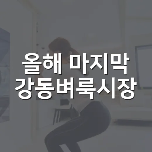올해 마지막 강동벼룩시장