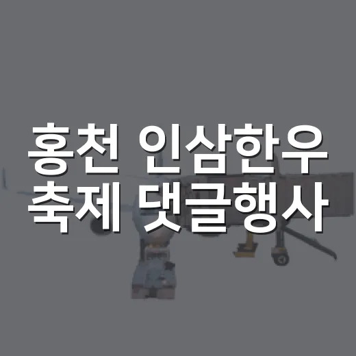 홍천 인삼한우 축제 댓글행사