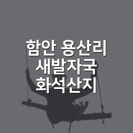 함안 용산리 새발자국 화석산지, 1억 년 전 시간 여행