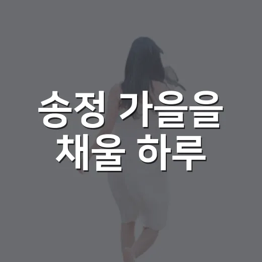송정 가을을 채울 하루