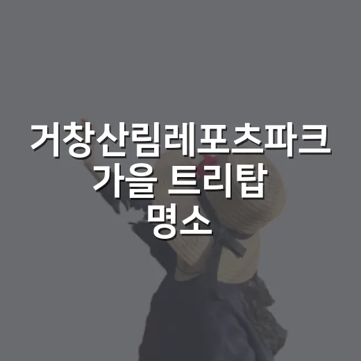 거창산림레포츠파크 가을 트리탑 명소