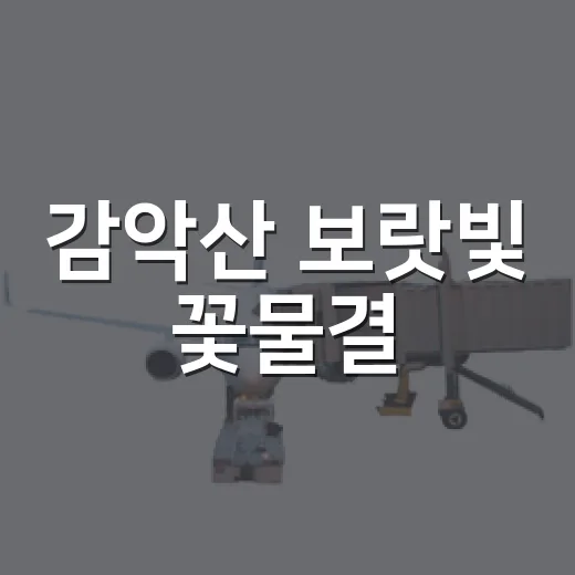 감악산 보랏빛 꽃물결