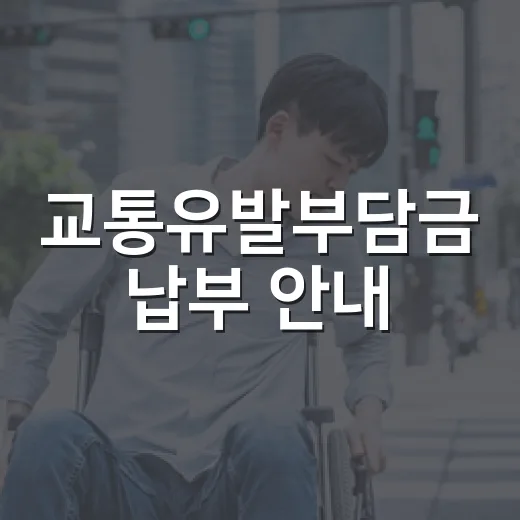 교통유발부담금 납부 안내