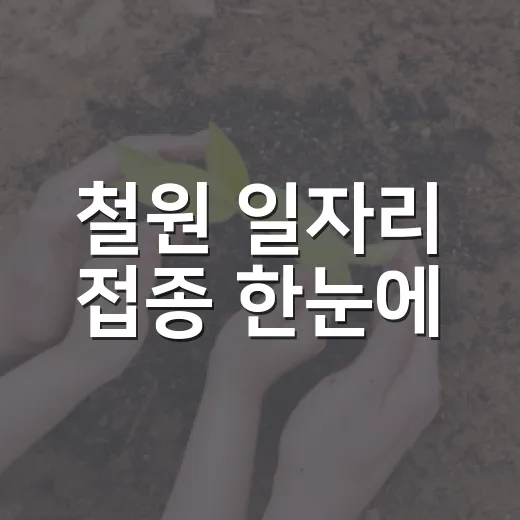 철원 일자리 접종 한눈에