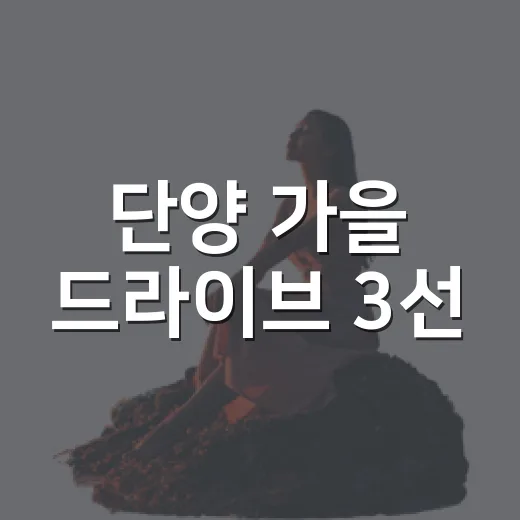 단양 가을 드라이브 3선