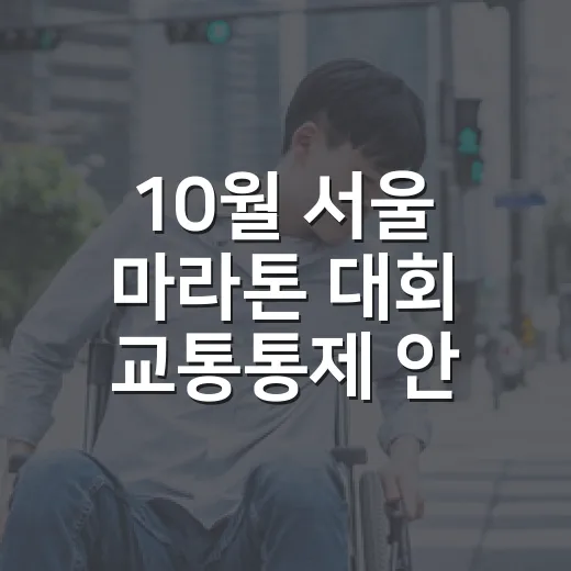 10월 서울 마라톤 대회 교통통제 안내