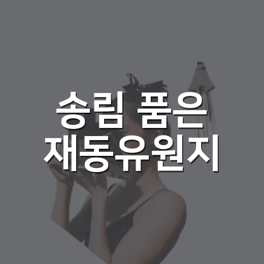 송림 품은 재동유원지