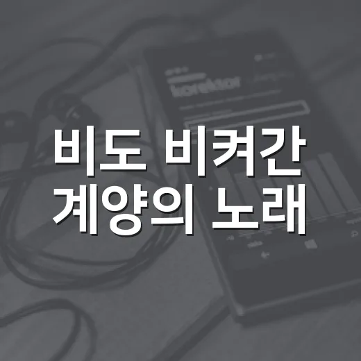비도 비켜간 계양의 노래