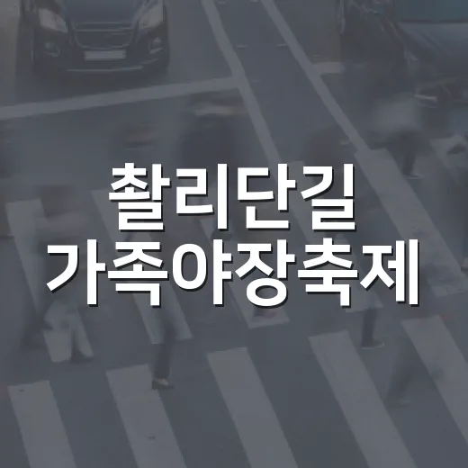 촬리단길 가족야장축제