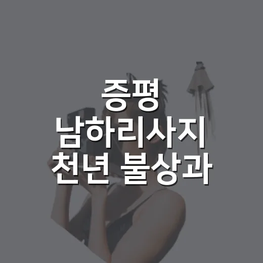 증평 남하리사지 천년 불상과 석탑의 비밀