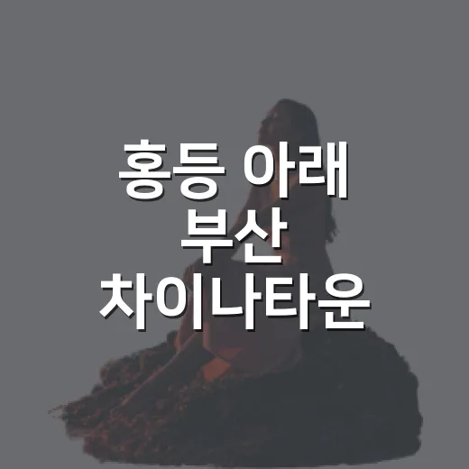 홍등 아래 부산 차이나타운