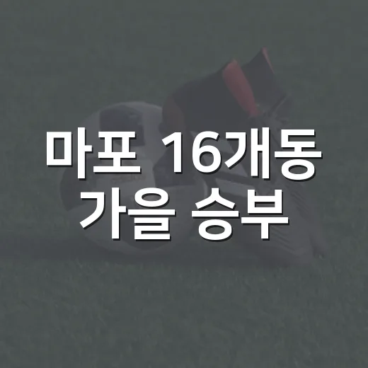 마포 16개동 가을 승부