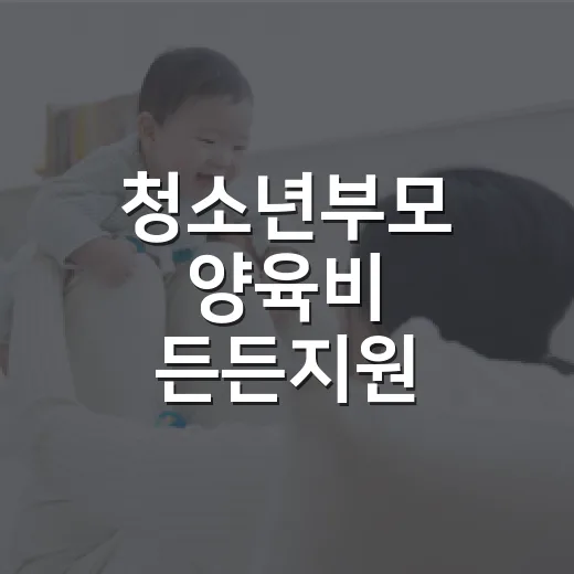 청소년부모 양육비 든든지원