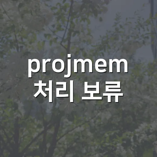 projmem 처리 보류