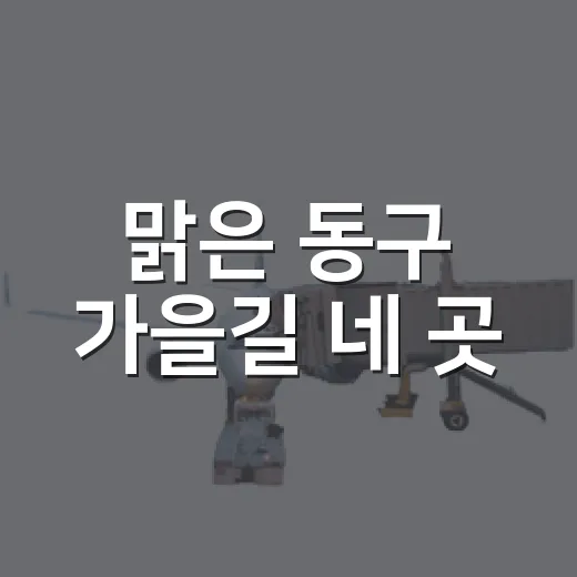 맑은 동구 가을길 네 곳