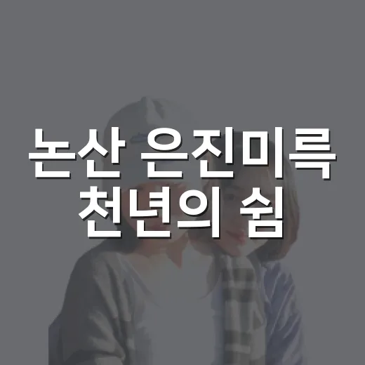 논산 은진미륵 천년의 쉼