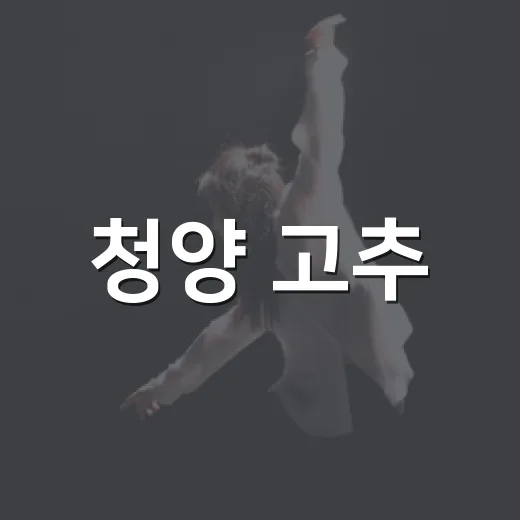 청양 고추·구기자 축제 목재문화 체험 현장