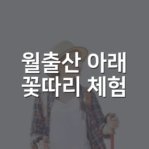 월출산 아래 꽃따리 체험