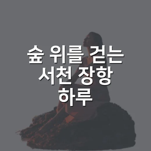 숲 위를 걷는 서천 장항 하루