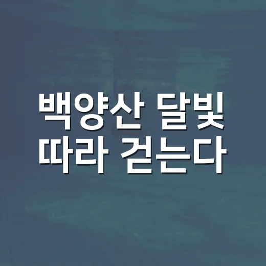 백양산 달빛 따라 걷는다