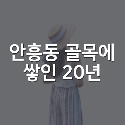 안흥동 골목에 쌓인 20년
