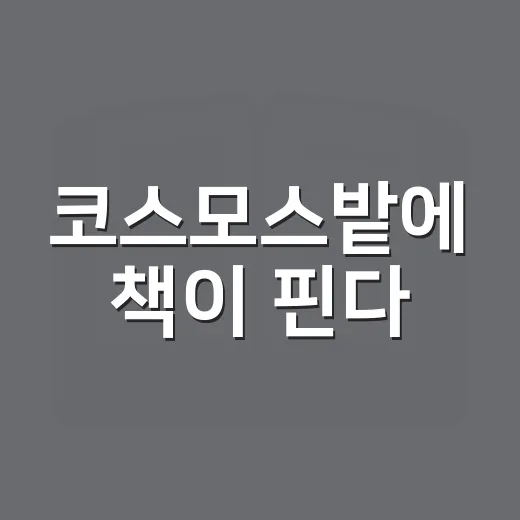 코스모스밭에 책이 핀다