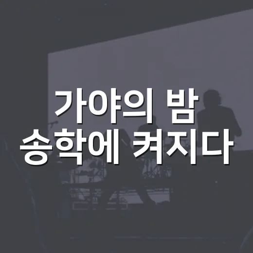 가야의 밤 송학에 켜지다