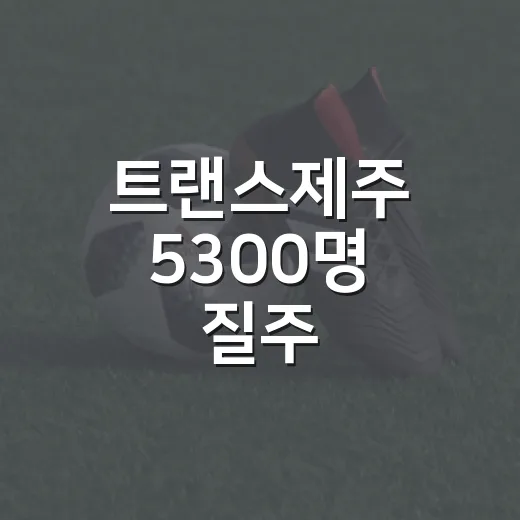 트랜스제주 5300명 질주