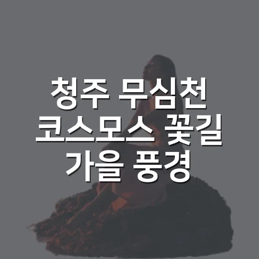 청주 무심천 코스모스 꽃길 가을 풍경