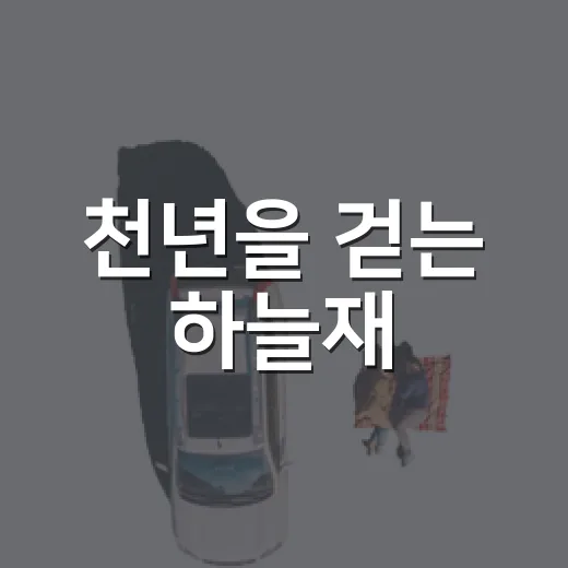 천년을 걷는 하늘재