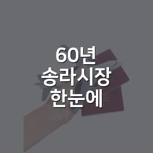 60년 송라시장 한눈에