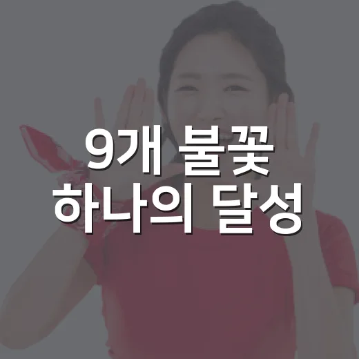 9개 불꽃 하나의 달성