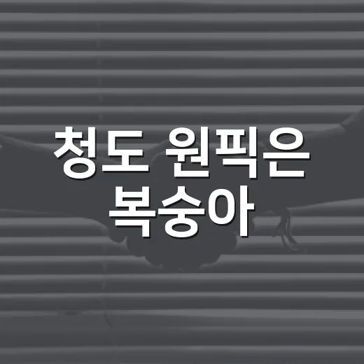 청도 원픽은 복숭아