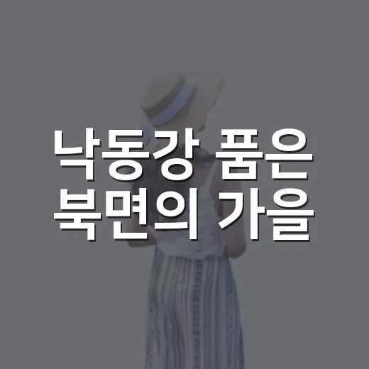 낙동강 품은 북면의 가을