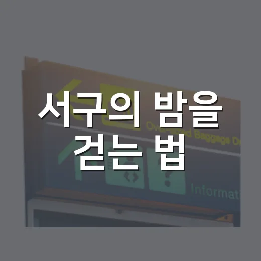 서구의 밤을 걷는 법