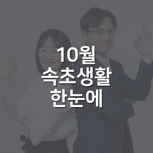 10월 속초생활 한눈에