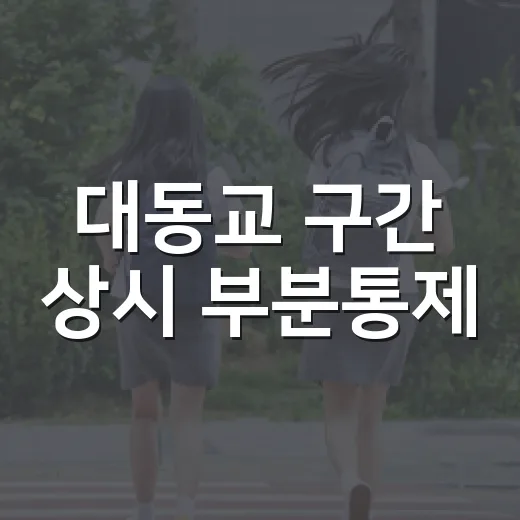 대동교 구간 상시 부분통제