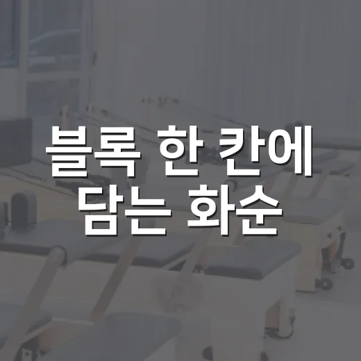 블록 한 칸에 담는 화순