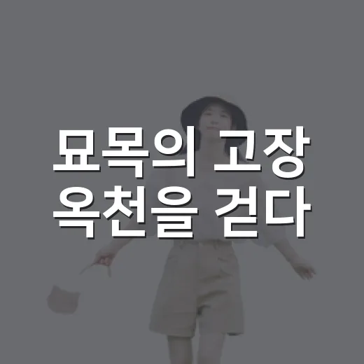 묘목의 고장 옥천을 걷다