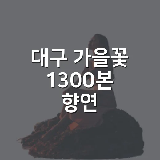 대구 가을꽃 1300본 향연
