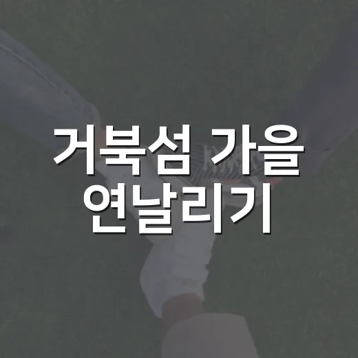 거북섬 가을 연날리기