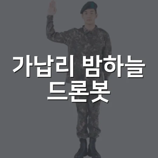 가납리 밤하늘 드론봇