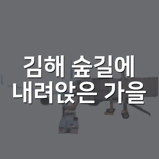 김해 숲길에 내려앉은 가을