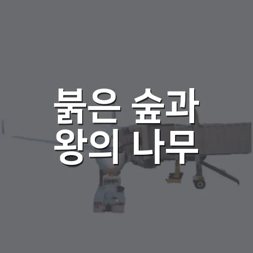 붉은 숲과 왕의 나무