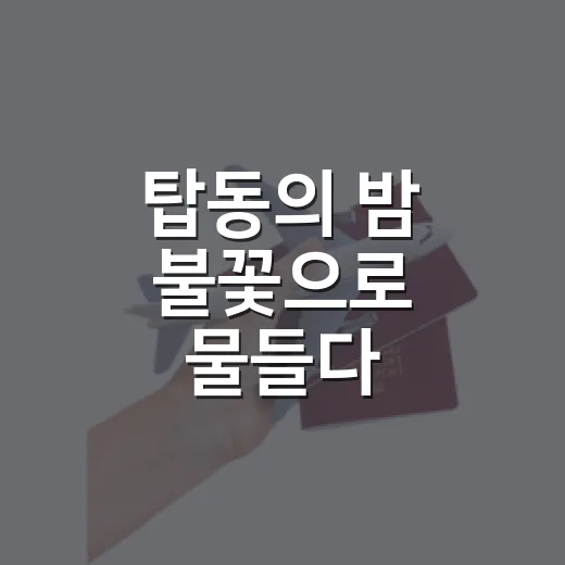 탑동의 밤 불꽃으로 물들다
