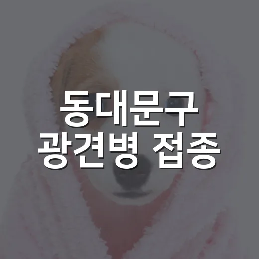 동대문구 광견병 접종